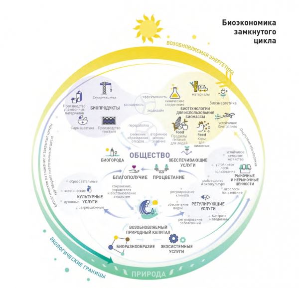 Биоэкономика благополучия: как не нарушить естественный круговорот веществ и повысить качество жизни всего живого - новости экологии на ECOportal