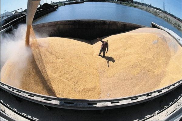 На мировом рынке зерна стоимость пшеницы снизилась до двухмесячного минимума
