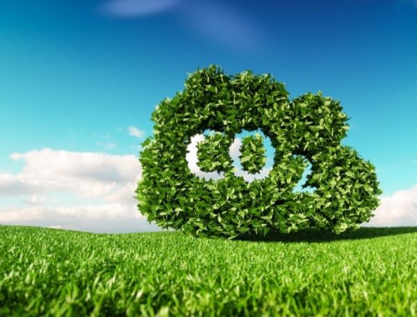 Низкоуглеродная экономика и сельское хозяйство
