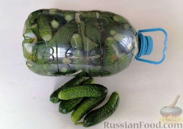 Огурцы в бутылке (быстрый способ засолки огурцов на зиму)