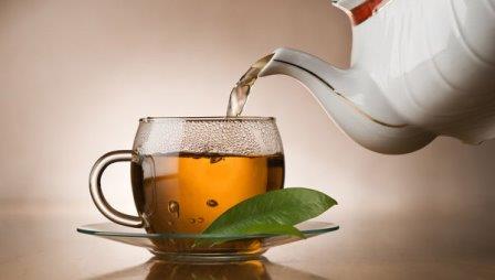 У катехинов зеленого чая обнаружили «парадоксальную» пользу