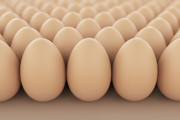 В Ульяновской области появится производство инкубационного яйца