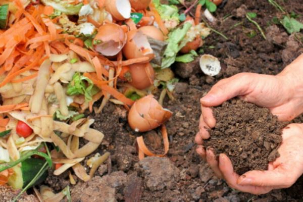 Безотходное производство — пищевые отходы превратятся в удобрения