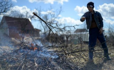Глава МЧС объяснил запрет сжигать мусор на даче - новости экологии на ECOportal