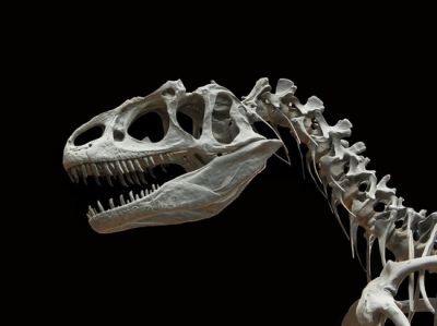 Ученые определили время года, когда начали вымирать динозавры - новости экологии на ECOportal