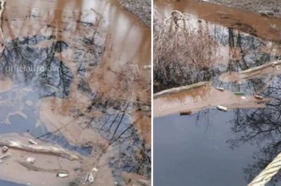 Волгоградские власти начали проверку в связи с изменением цвета воды в реке Арчеда - новости экологии на ECOportal